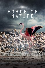 Сила природы